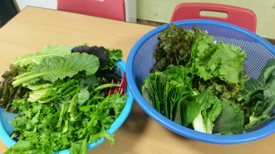 KakaoTalk_20160316_182134050.jpg